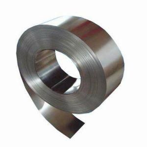 Cold Rolled Z40 Galvanized Steel Strips Gi Strip