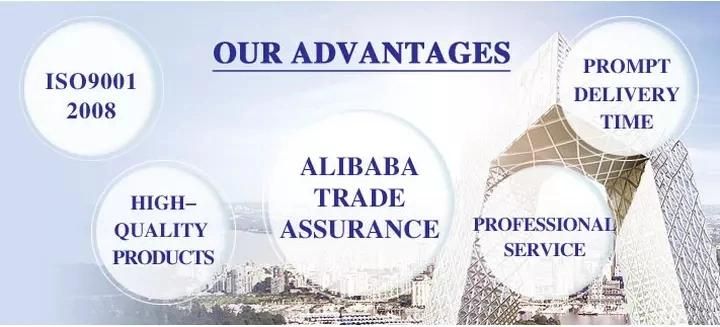 Prime Ral Colour Coated Prepainted Gi Steel Coil/PPGI/Roofing Metal Materials