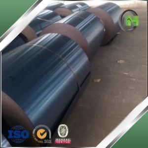 GB/T 1519 Cold Rolled Steel Grade Q195, SPCC, DC01, ST12 365MPa Tensile Strength with OEM Service