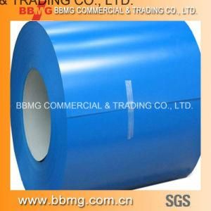 Prepainted Steel Coil PPGI Made in China
