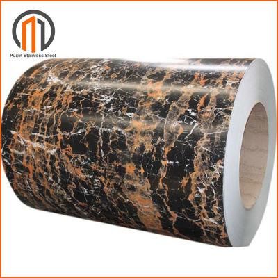 Color Coated PPGI Ral 9012 Ral 9006 Ral 7035 PPGI Coil Made in China with High Quality