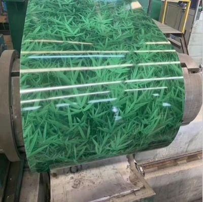 High Quality PPGI Coil 0.42mm Pre Painted Galvanized Steel Coil