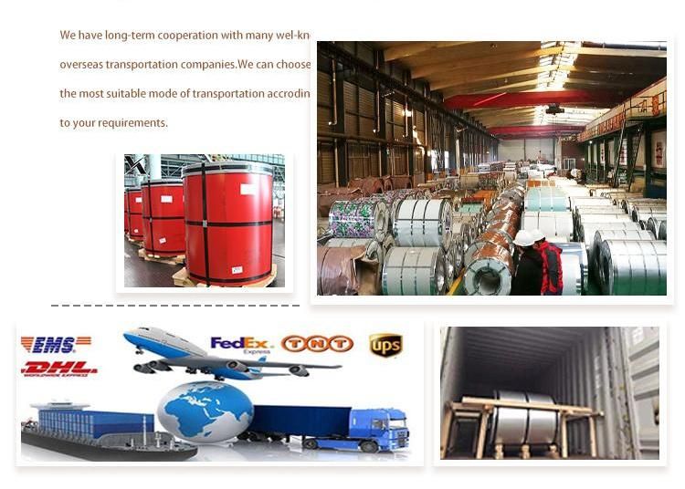 Gi/PPGI/Gl/Aluzinc/Steel Sheet Coil Steel Coil