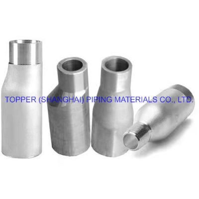 ASTM/ASME Seamless/ Welded High Quality Stainless Steel Pipe Fittings Nipple/ Hex Nipple/ Swage Nipple