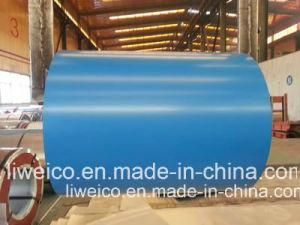 Prepainted Galvanized Steel Coil with Many Ral Colors