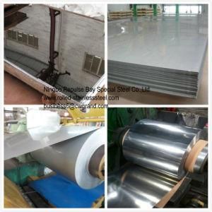 High Quality Stainless Steel Strip No. 4 Finish with PVC Film Grade 304/Grade 1.4301