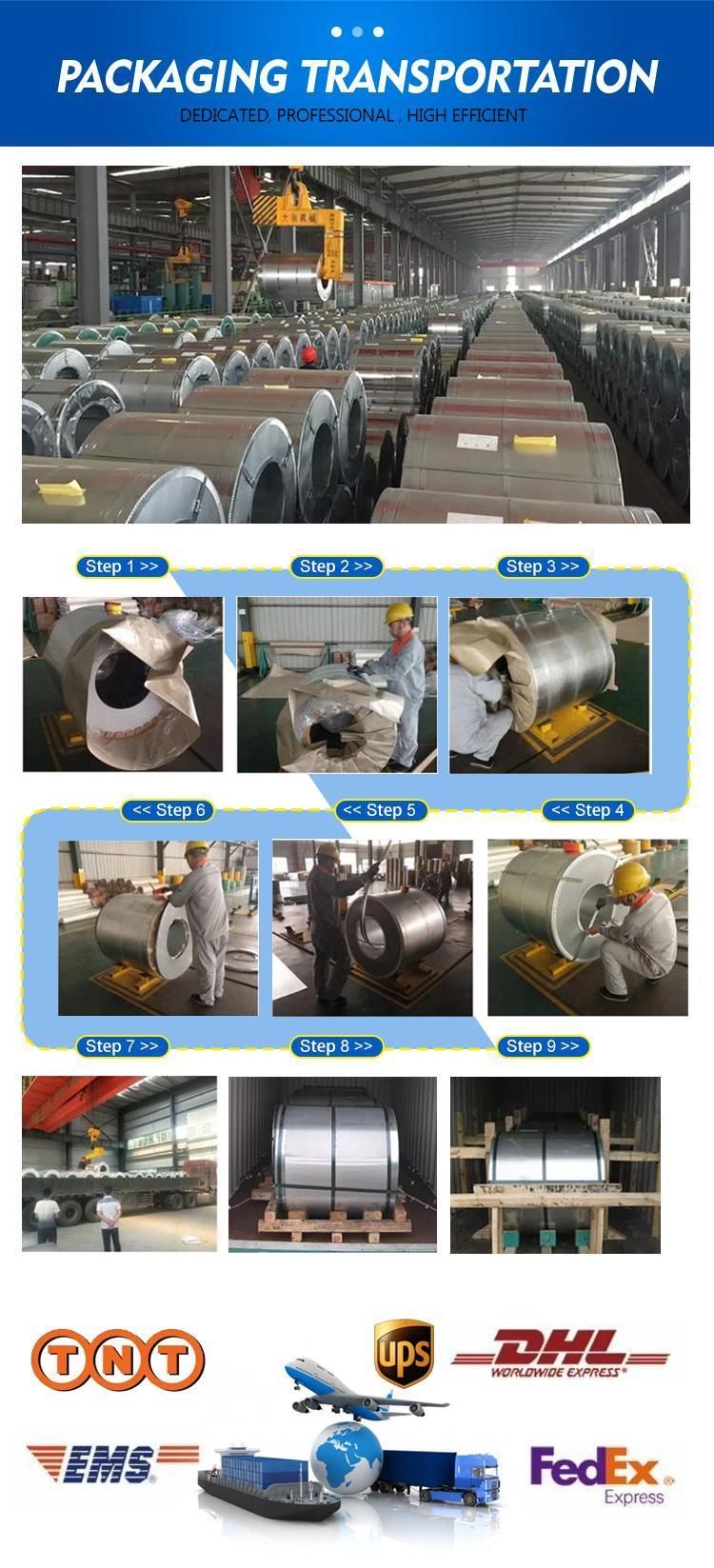 China Supplier Dx51d Ral 3003/3005/6005/8017/5015/9016 0.12/0.20/0.30/0.50mm Z30 Z275 Pre-Painted Galvanized Steel Coil Color Coated Steel Gi/Gl/PPGL/PPGI