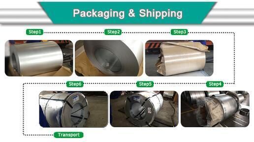 Zinc Coated Steel Galvanized Steel Gi Coil for Building Factory Price