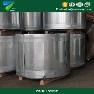 Factory Resource Prime Quality Cr Mild 403 Stainless Steel Coil