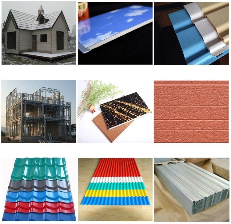 Hot Dipped Color Coated Galvanized PPGL PPGI/Prepainted Steel Coils/Plate/Sheet