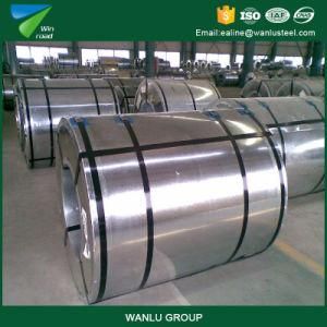 2017 Factory Offer Hot Dipped Galvanized Steel Coil