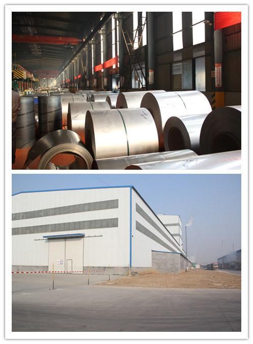 Galvanized Steel Coil - Spangle