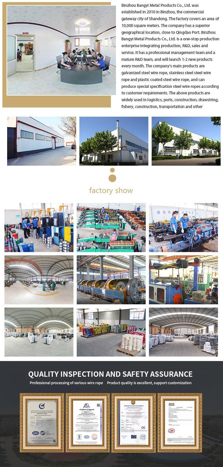 Stainless Steel Cable and Coated Wire Rop PVC and Nylon Coated Wire Cable