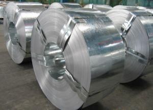 Galvanized Steel Coil (GI-01)