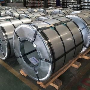 Hot Dipped Galvanized Steel Coils Dx51d or SGCC