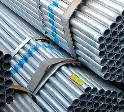 48mm Q235 Q355 Greenhouse Galvanized Steel Pipe and Tube in Stock1 Buyer