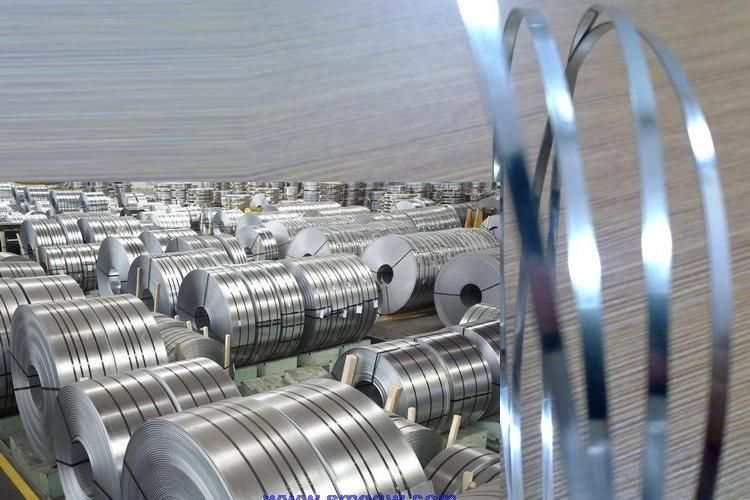 AISI TP304L 316L 904L 304 1.4301 316 310S 321 430 2205 2507 Cold Rolled Hot Rolled Stainless Steel Sheet Plate Coil Strip