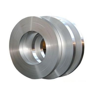 (ASTM 201/304/316L) Ss Inox Anti-Acid Iron Stainless Steel Strip for Bridge