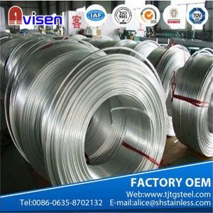 ASTM a 269 TP304/316/321 Seamless Stainless Steel Coiled Tube for Condenser