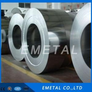 Inox 304 201 430 410 410s 409 409L Hot Rolled Stainless Steel Coil No. 1 Finish for Industry