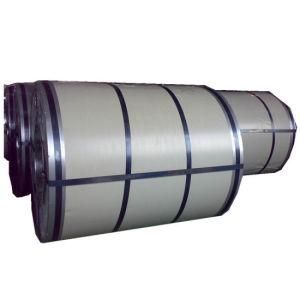 Prime Quality Hot Dipped Galvanized Steel Coil for Construction