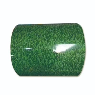 Ppcg Decorative Zinc Metal Roofs Coated Color Steel Sheet/Color Coated Steel Coil China Factory Price/0.6mm PPGI Color Coated Steel Coil