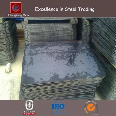 Cortem Steel Sheet for Rolling Stock (CZ-S49)