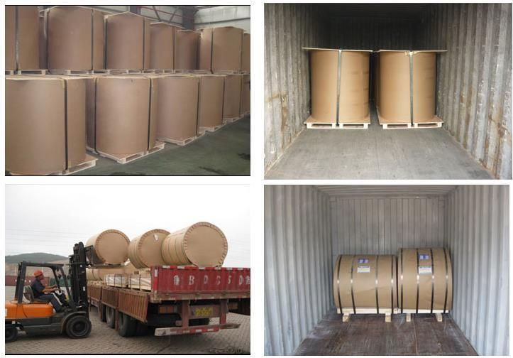 PPGI Prepainted Coil Color Coated Steel Coil for Building Material Roofing Sheet PPGI Coils