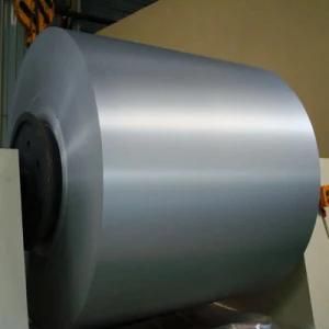 Premium Quality Stainless Steel Coil (201, 202, 304)