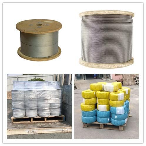 Plastic Coated Galvanized Iron Wire Binding Wire Supply Garden Use