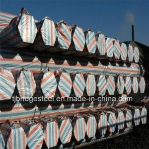 China Manufacturer Gi Pipe Hot DIP Galvanized Steel Pipe Steel Tube