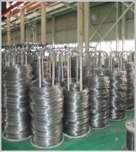 304 316 Steel Wire for Weaving, Braiding, Brush, Epq 0.05mm to 5.00mm