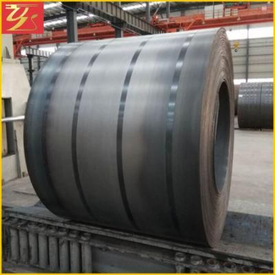 Hot Rolled Iron Alloy Steel Plate Coil/Strip / Sheet